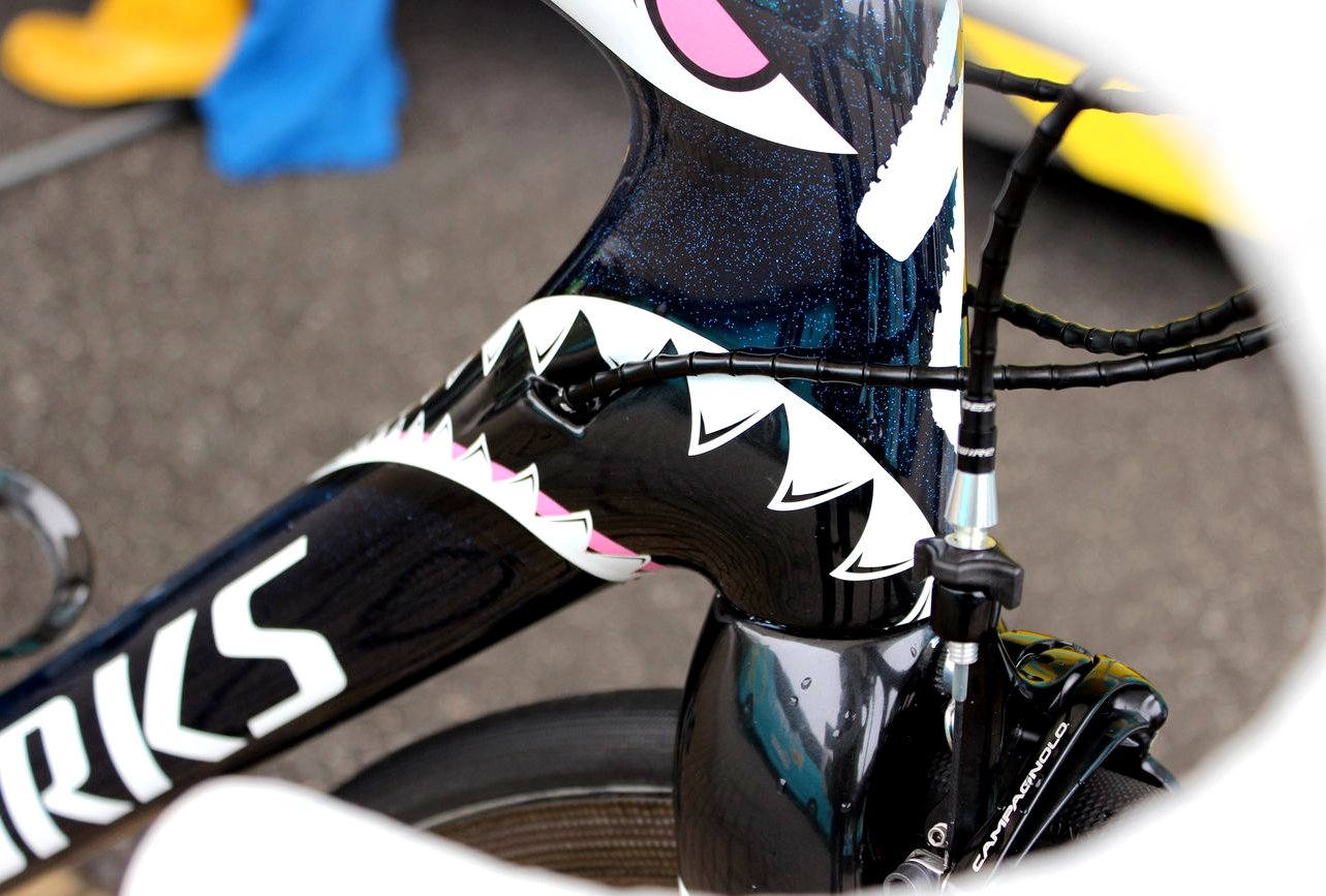 Pro bike: Vincenzo Nibali