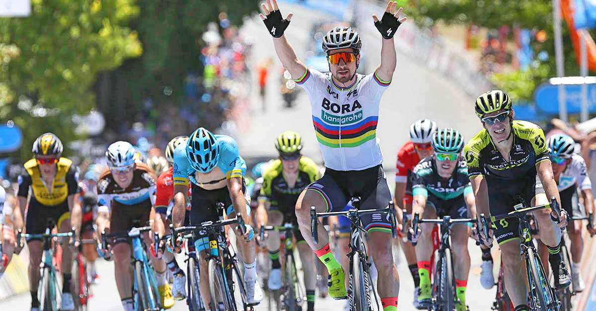 Peter Sagan, world champion, Tour Down Under, sprint (Pic: Tour Down Under/John Veage)