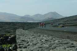 giant t-mobile training camp