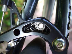 Simkins Design Skelters Caliper